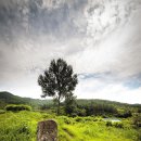 김삿갓초장 이미지