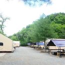 숲속의 쉼터 이미지