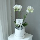 논현종로약국 이미지