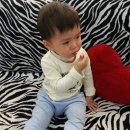 [D+657 육아일기] 로뎀이의 첫 성공적인 미용후기 :) 반항기를 듬뿍 담아 스크래치도 내주고 -