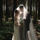 5970 | [💍WeddingLog] 제주 스냅 "미묘" 계약 후기