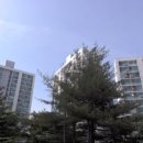 산본 퇴계주공3단지2차 — 산본 역세권 소형 아파트, 입지·시세·개발 호재는 지금 어떨까요?