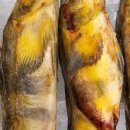 우성수산 이미지