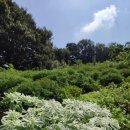 쾌청농장 이미지