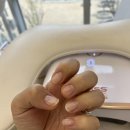 동탄대로6길 | [화성] 동탄네일 스텔라네일 이달의아트 후기 - 동탄호수공원 네일샵