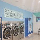 크린업24 군산점 이미지