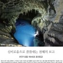 [옮김] 제주도 용천동굴 이미지