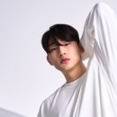 알브이디핏