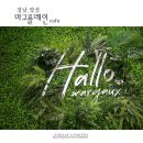 플레인(PLAIN) 이미지