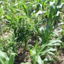 곤충생태학교 내 화장실 이미지