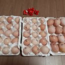 늘푸른청계농원 이미지