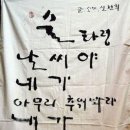 주태백이 Daum카페