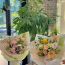 주정차046 이미지