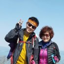 새만금공인중개사사무소 이미지