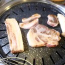 하누돈 실비 이미지