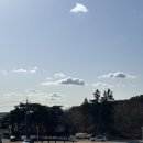 노선목장 | [서산&amp;태안/당일치기] 서산한우목장웰빙산책로/조각집/태안노을/베트남쌀국수/만리포해수욕장