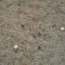 청북중학교 이미지