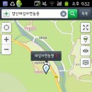 대성자연농원 이미지