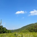 풍천사슴농장 이미지