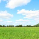 남원읍-74 이미지