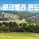 노블레저산업