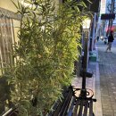 해남짬뽕 이미지