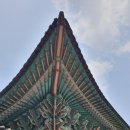 단청 Daum카페