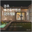 강아지풀 | 경주 애견동반 펜션 추천 | 독채+전용풀 감성숙소 강아지풀 독채패밀리B 솔직후기!