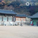 굴평전 네이버블로그