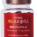 바디챙김
