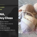 지아나샵
