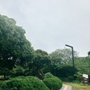 서쪽마을 | 제주 서쪽 관광지 추천 저지문화예술인마을 김창열 미술관, 하인두 김창열 특별전, 실감 체험관 후기