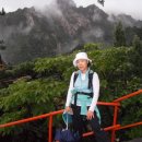 벽진초등학교 이미지