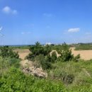 별빛소랑@제주 이미지