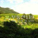 대불리목장 이미지