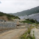 상동 태양광발전소 이미지