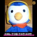 공감안경 이미지