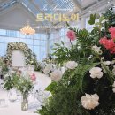 삼성동주민센터 | 강남 하우스웨딩 트라디노이｜삼성역 스몰웨딩 감성 끝판왕 웨딩홀 후기