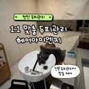 아이엔지 | 천안 두피관리 머리부터 발끝까지 케어받는 헤어아이엔지 솔직후기