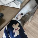 우쿠야&올떡 소호점 이미지