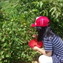 달감마트 이미지