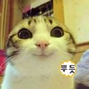 이모네포장마차 - 북구 | 이모네포장마차