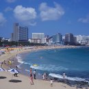 해운대 엘레지 이미지