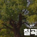 말하는 은행나무 이미지