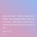 콩깍지 이미지