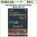 교향악단 제132회 정기연주회 이미지