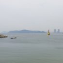 해운대속씨원한대구탕