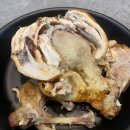 인생통닭 - 포항시 남구 | 인생통닭