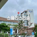 (주)스테이13 | 스플라스 리솜 스테이타워 S30 콘도형 숙소 후기👶🏻13개월 아기와 함께 2박 3일💙