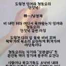 도림천 잉어와 청둥오리 잔칫날 이미지